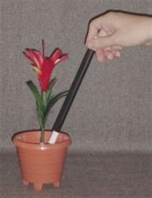 (image for) Flower From Wand In Pot - Large